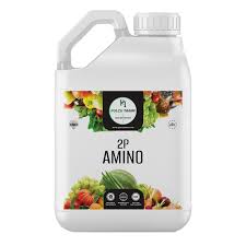 2P Amino